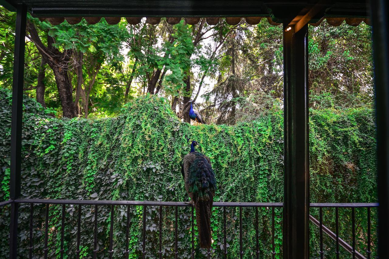 Hotel Legado Alcazar (Adults Only) Севилья Экстерьер фото